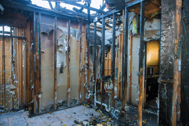 Professional Fire Damage Removal technician working in Dayton, TX